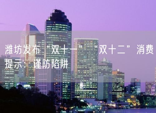 潍坊发布“双十一”“双十二”消费提示：谨防陷阱