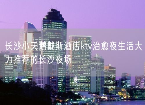 长沙小天鹅戴斯酒店ktv治愈夜生活大力推荐的长沙夜场